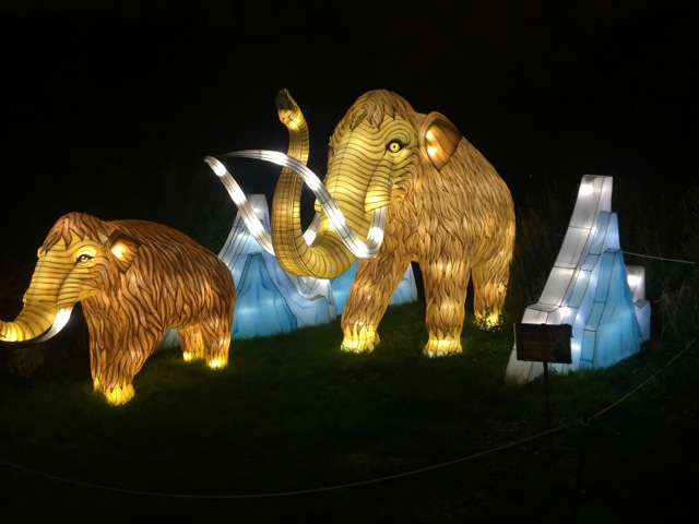 1st Festival of lights in the Jardin des plantes in Paris